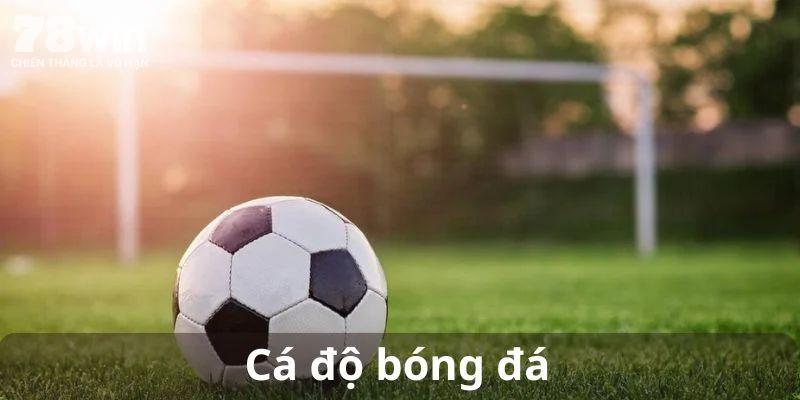 Tổng quan về cá độ bóng đá và cơ hội thắng