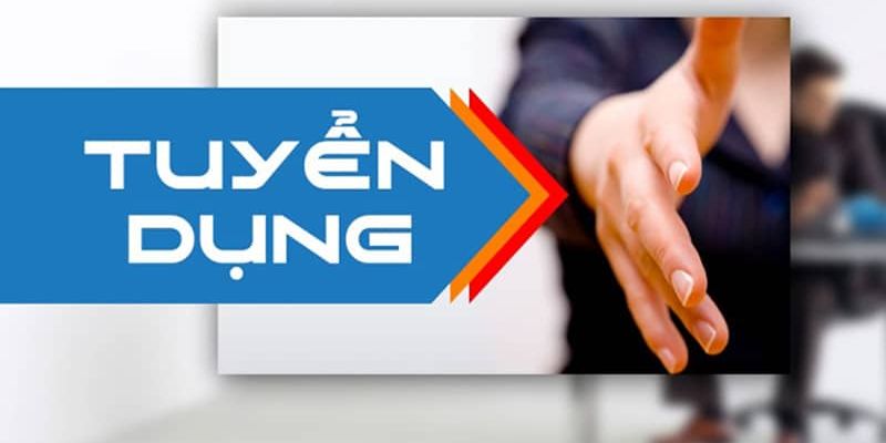 Tổng hợp vị trí tuyển dụng phổ biến